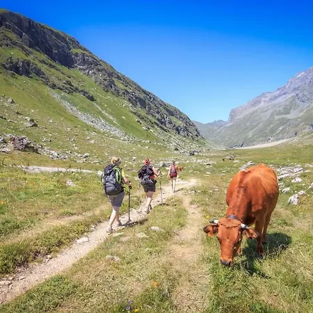 - Superbe Chaleureux Vue Montagne